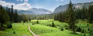 Columbine Lake Trail photo